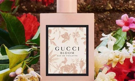 a que huele gucci bloom|gucci bloom for women.